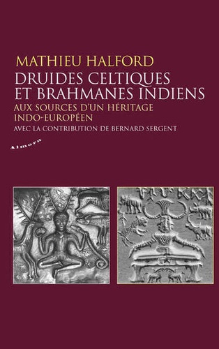 Druides celtiques et brahmanes indiens. Aux sources d'un héritage indo-européen