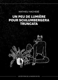 Un peu de lumière pour schlumbergera truncata