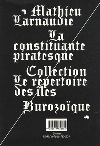 Mathieu Larnaudie - La constituante piratesque.