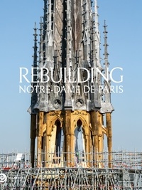 Rebuilding Notre-Dame de Paris