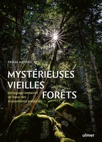 Mystérieuses vieilles forêts