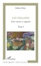 Mathieu Plésiat - Les Tsiganes - Tome 1 : Entre nation et négation.