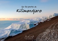 Mathieu Pujol - Sur les pentes du Kilimandjaro.