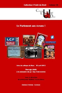 Mathieu Touzeil-Divina - Le Parlement aux écrans !.