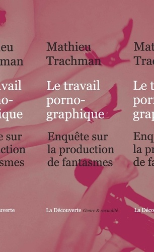 Le travail pornographique. Enquête sur la production de fantasmes