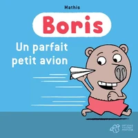 Un parfait petit avion !