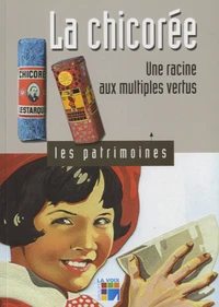 La chicorée