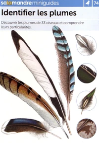 Identifier les plumes