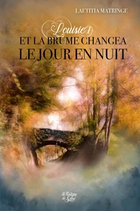 Et la brume changea le jour en nuit