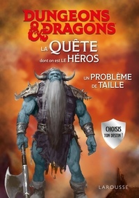 Matt Forbeck - Dungeons & Dragons  : La quête dont on est le héros - Un problème de taille.