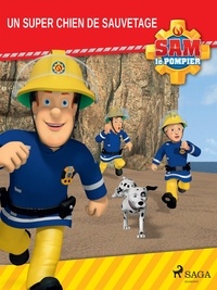  Mattel - Sam le Pompier - Un super chien de sauvetage.