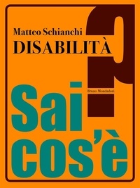 Matteo Schianchi - Disabilità.