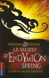 Matthew Skelton - Le secret d'Endymion Spring.