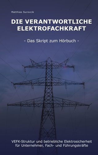 Die Verantwortliche Elektrofachkraft. VEFK-Struktur und Betriebliche Elektrosicherheit für Unternehmer, Fach- und Führungskräfte
