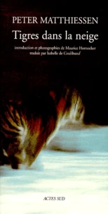 Tigres Dans La Neige