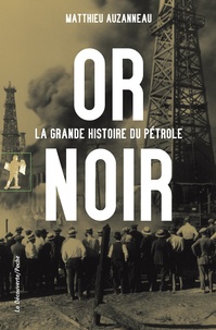Lire des livres en ligne téléchargements gratuits Or noir  - La grande fête du pétrole par Matthieu Auzanneau (Litterature Francaise)