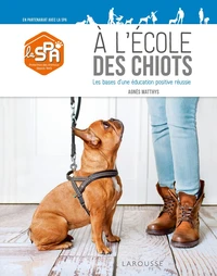 A l'école des chiots