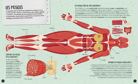 Le corps humain. Avec 1 poster 50x70 cm