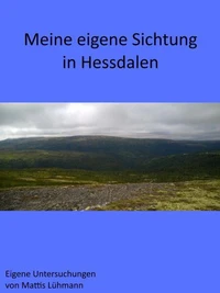 Meine eigene Sichtung in Hessdalen