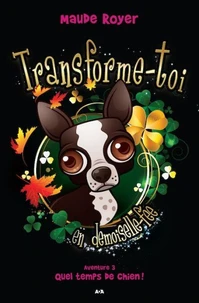 Quel temps de chien !
