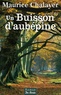 Maurice Chalayer - Un buisson d'aubépine.