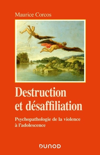 Destruction et désaffiliation. Psychopathologie de la violence adolescente