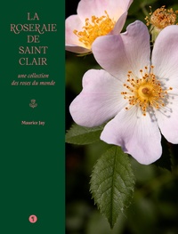 Maurice Jay - La roseraie de Saint-Clair - Une collection des roses du monde.