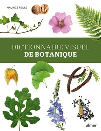Dictionnaire visuel de botanique