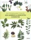 Dictionnaire visuel des arbres & arbustes communs
