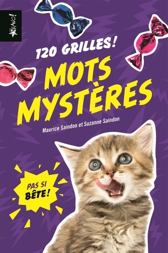 Mots mystères. 120 grilles !