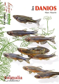 Les danios
