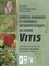 Espèces sauvages et hybrides interspécifiques du genre Vitis. Guide illustré de détermination des principaux représentants postculturaux en France