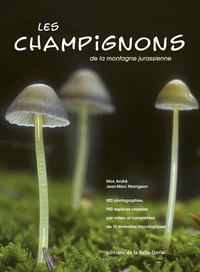 Les champignons de la montagne jurassienne