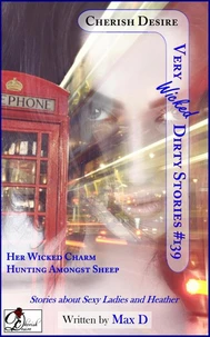 Very Wicked Dirty Stories #139