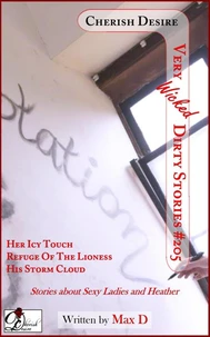 Very Wicked Dirty Stories #205