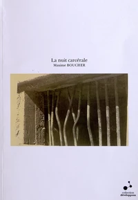 La nuit carcérale