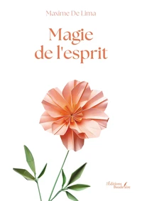 Magie de l'esprit