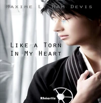 Like a Torn in my Heart