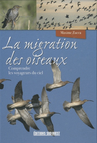 La migration des oiseaux. Comprendre les voyageurs du ciel