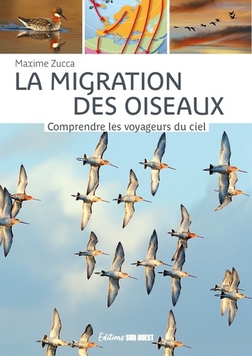 La migration des oiseaux. Comprendre les voyageurs du ciel 4e édition revue et augmentée