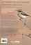 La migration des oiseaux. Comprendre les voyageurs du ciel 4e édition revue et augmentée