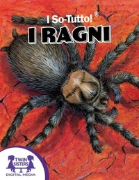 I So-Tutto!® I Ragni