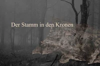 Der Stamm in den Kronen