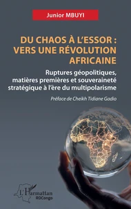 Du chaos à l’essor : Vers une révolution africaine