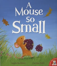A Mouse so Small