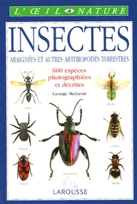 Insectes