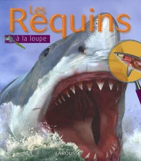 Les Requins