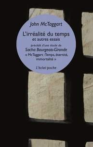 L’irréalité du temps et autres essais