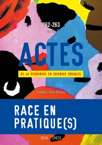 Race en pratique(s)