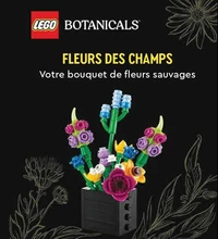 Fleurs des champs